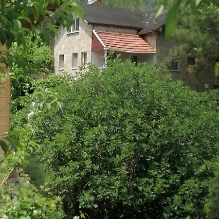 Pasa Doga Hotel *