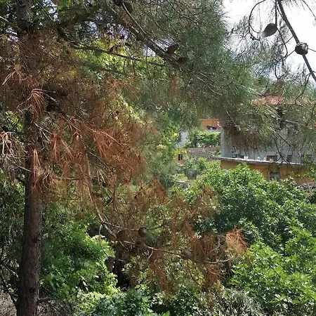 Hotel Pasa Doga Kumluca