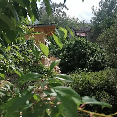 Hotel Pasa Doga Kumluca